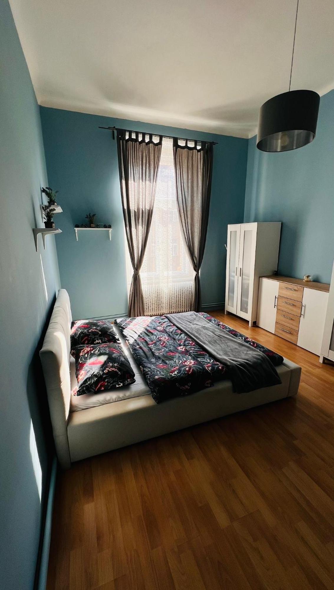 Appartement I.p.pavlova *