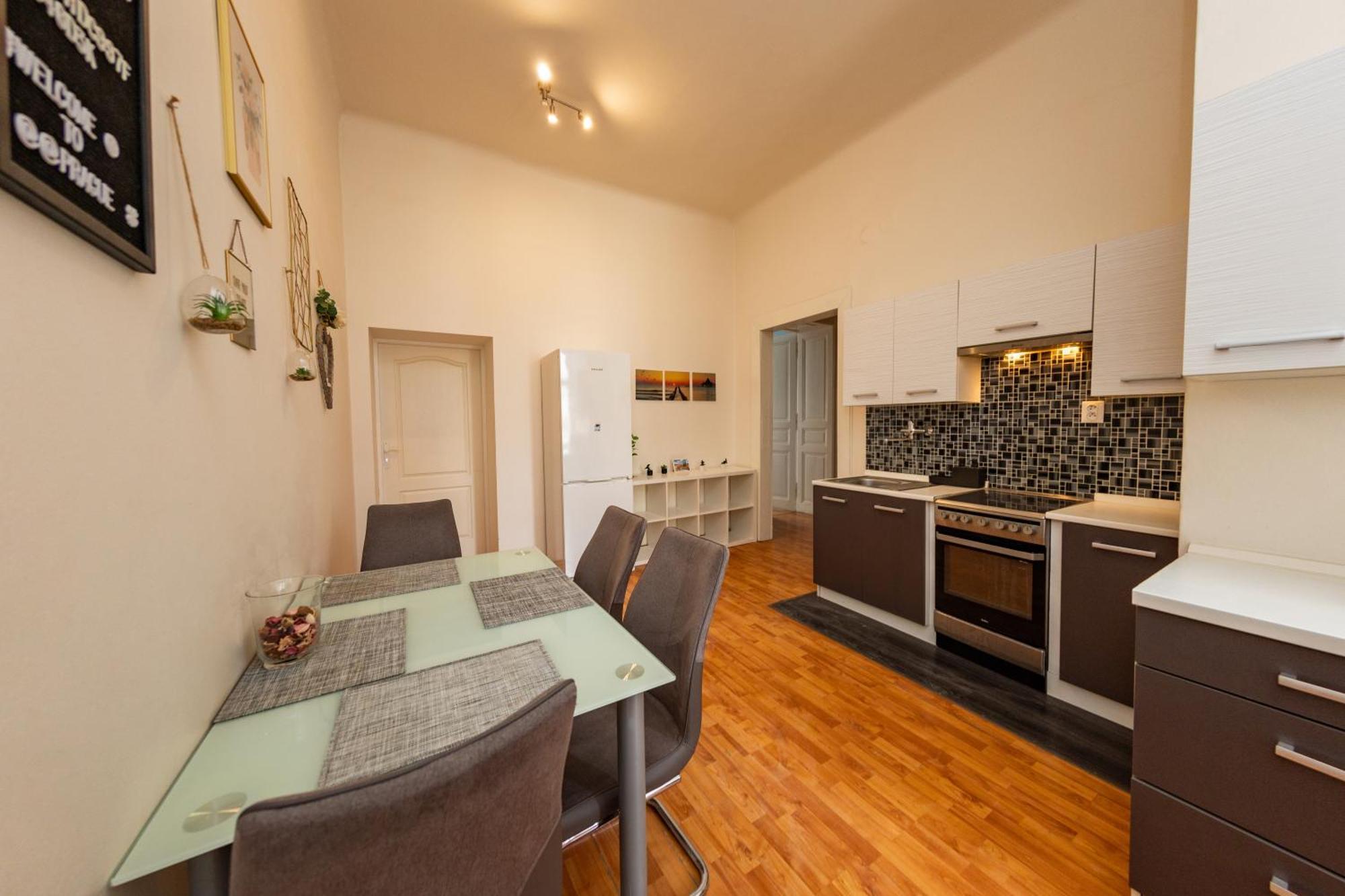 Appartement I.p.pavlova Prague